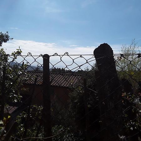 Villetta A Schiera Nei Pressi Del Mare 利沃诺 外观 照片