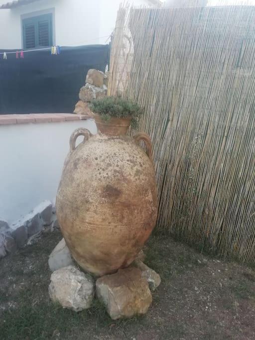 Villetta A Schiera Nei Pressi Del Mare 利沃诺 外观 照片